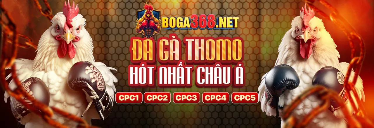 Cá cược thể thao ee88 2026