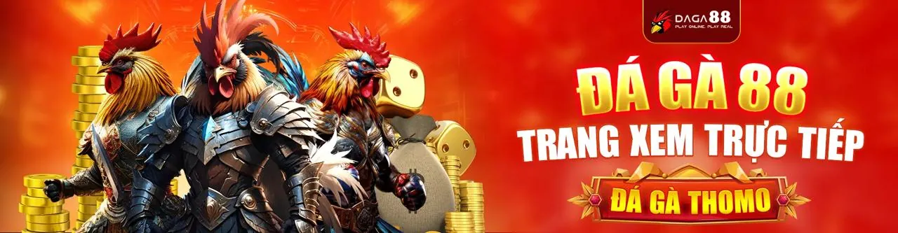 Một trận đấu đá gà cựa sắt kịch tính tại ee88 2026